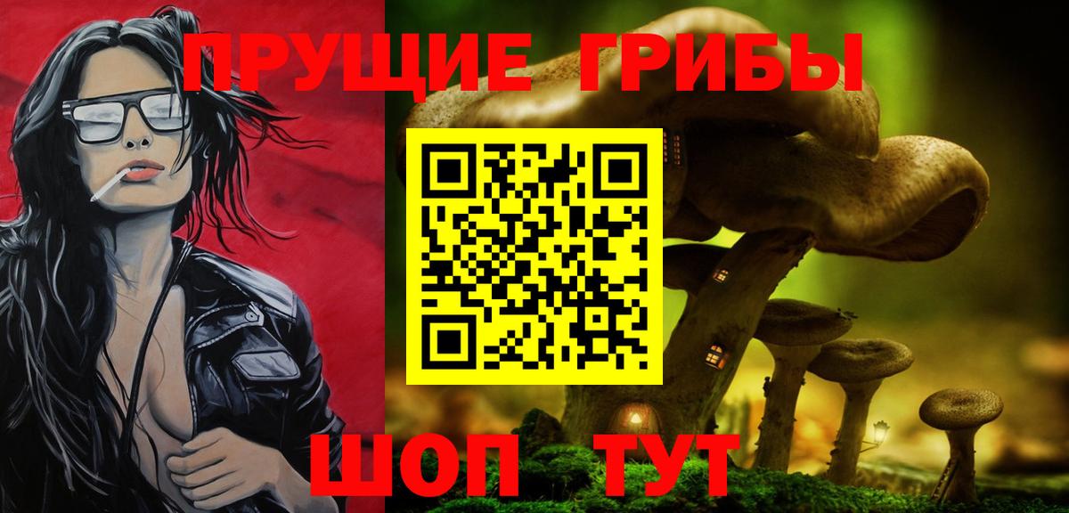 Моздок  цены   Вход с VPN  Псилоцибиновые грибы ЛСД 