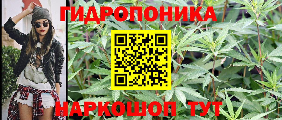 Бошки марихуана Amnesia  Бошки марихуана ГИДРОПОН  Каннабис ГИДРОПОН  Моздок  Вход с VPN 